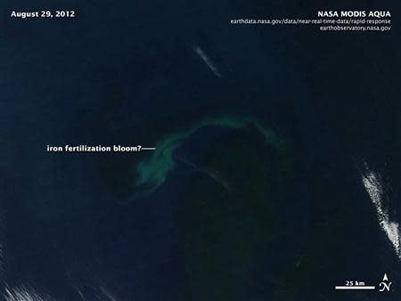 A NASA satellite image of August 29, 2012, shows an apparent bloom of algae (greenish colour) in the Pacific Ocean off Canada, a month after the Haida say they fertilized the area with 100 tonnes of iron dust. REUTERS/Handout