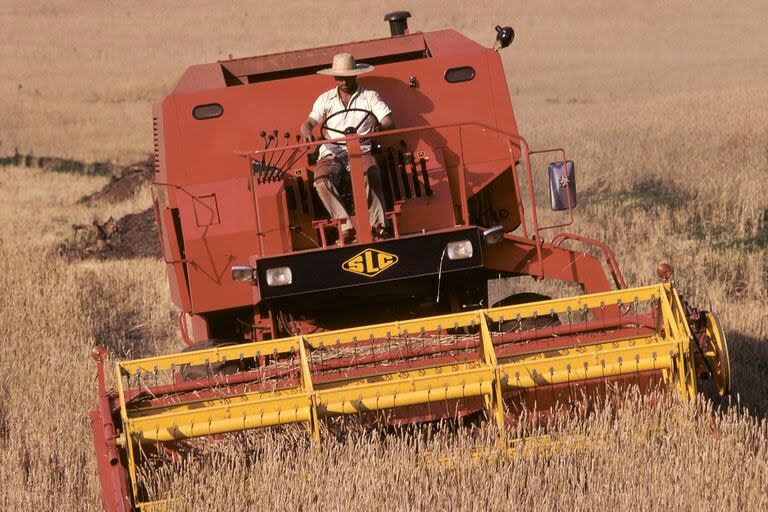 Cosecha de trigo en el sur de Brasil. La agricultura dio un salto espectacular en 2023