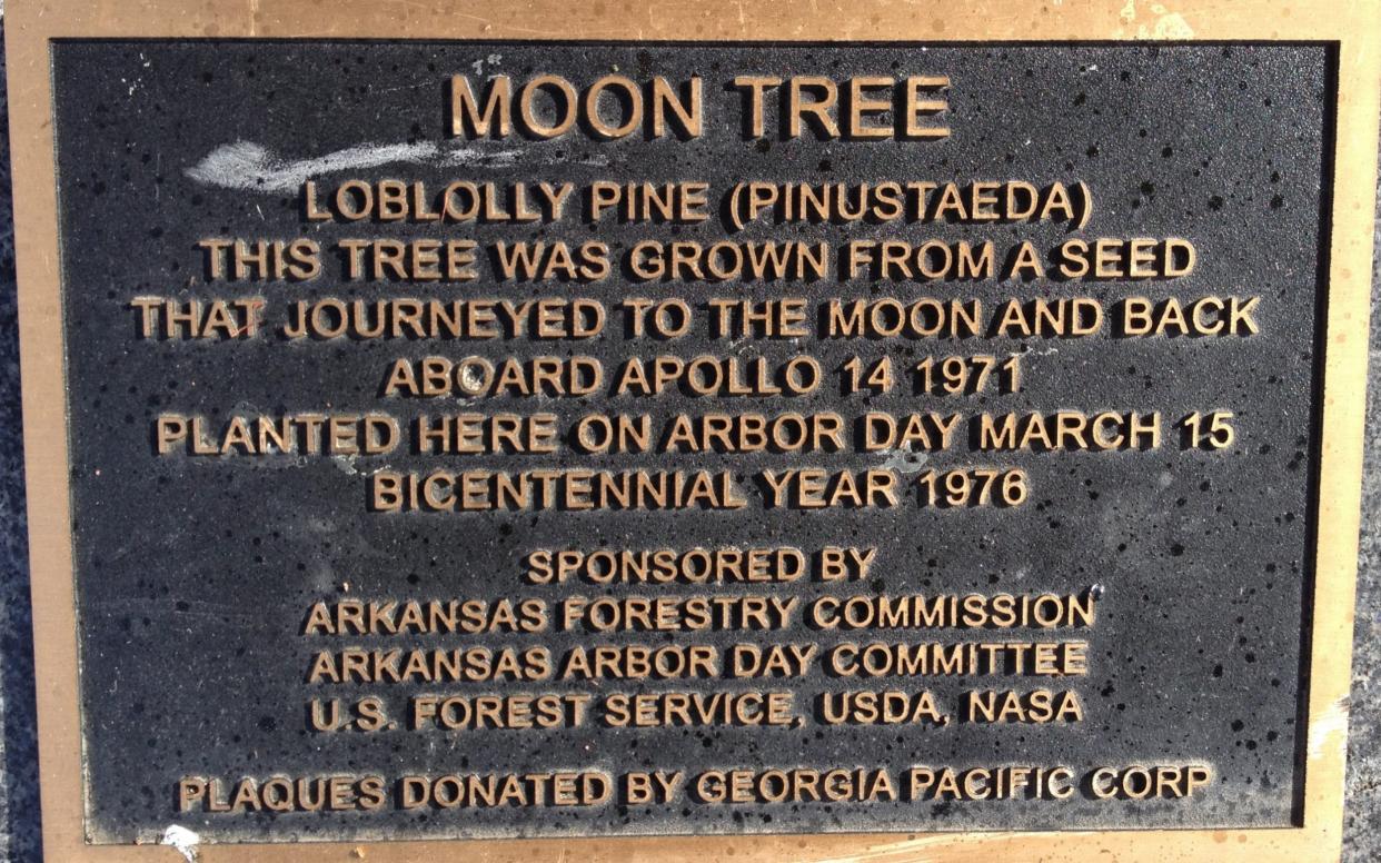 Plaque at the base of the Fort Smith, Arkansas, Moon Tree. from Wikipedia https://en.wikipedia.org/wiki/Moon_tree#/media/File:MoonTreePlaque.jpg Jesse Berry/Creative Commons - Jesse Berry/Creative Commons