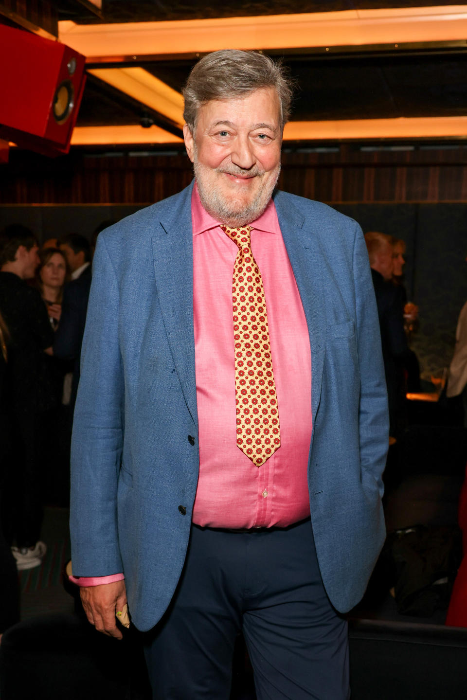 Stephen Fry attends a party