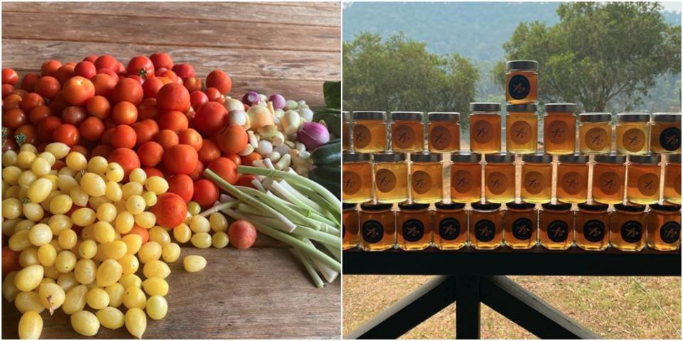 Table of vegetables and honey in a pot in Johanna Griggs' garden