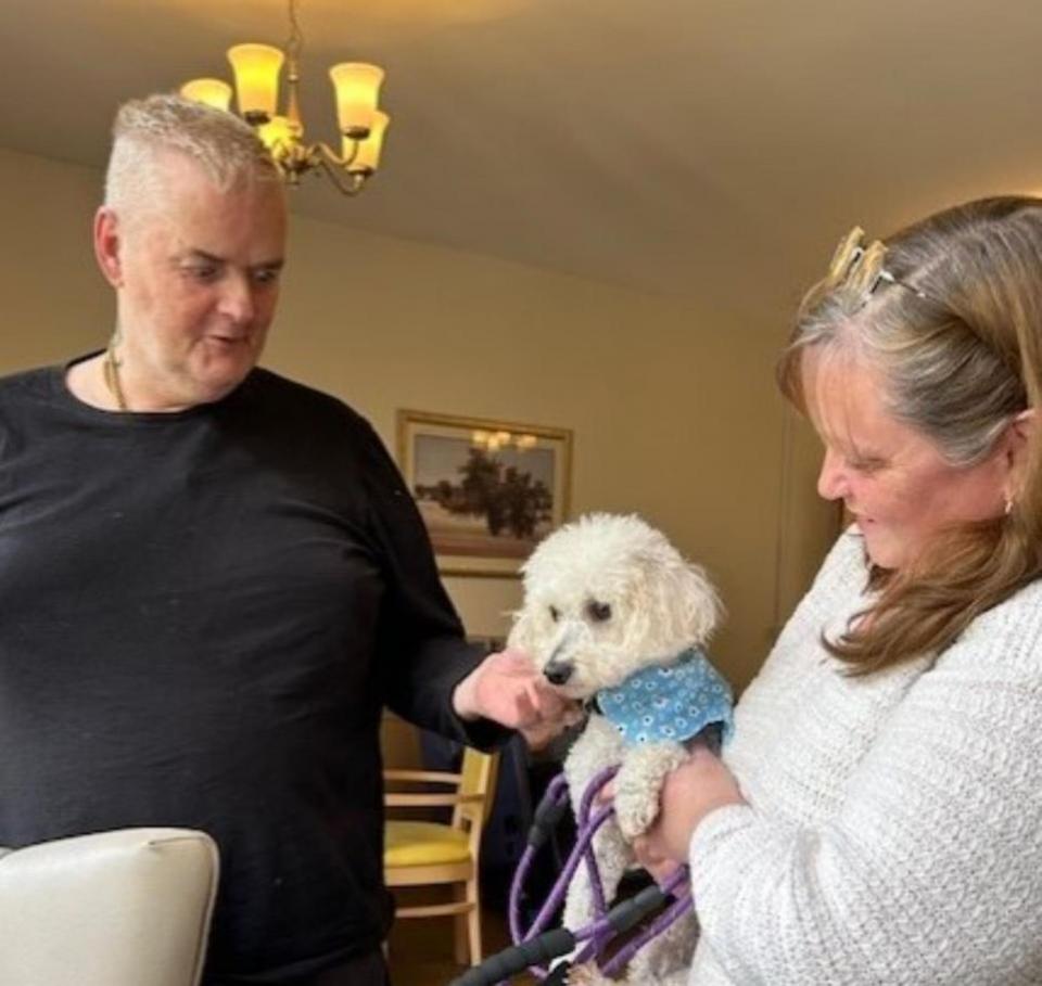 Oxford Mail: Four-year-old rescue poodle Millie at Headington Care Home