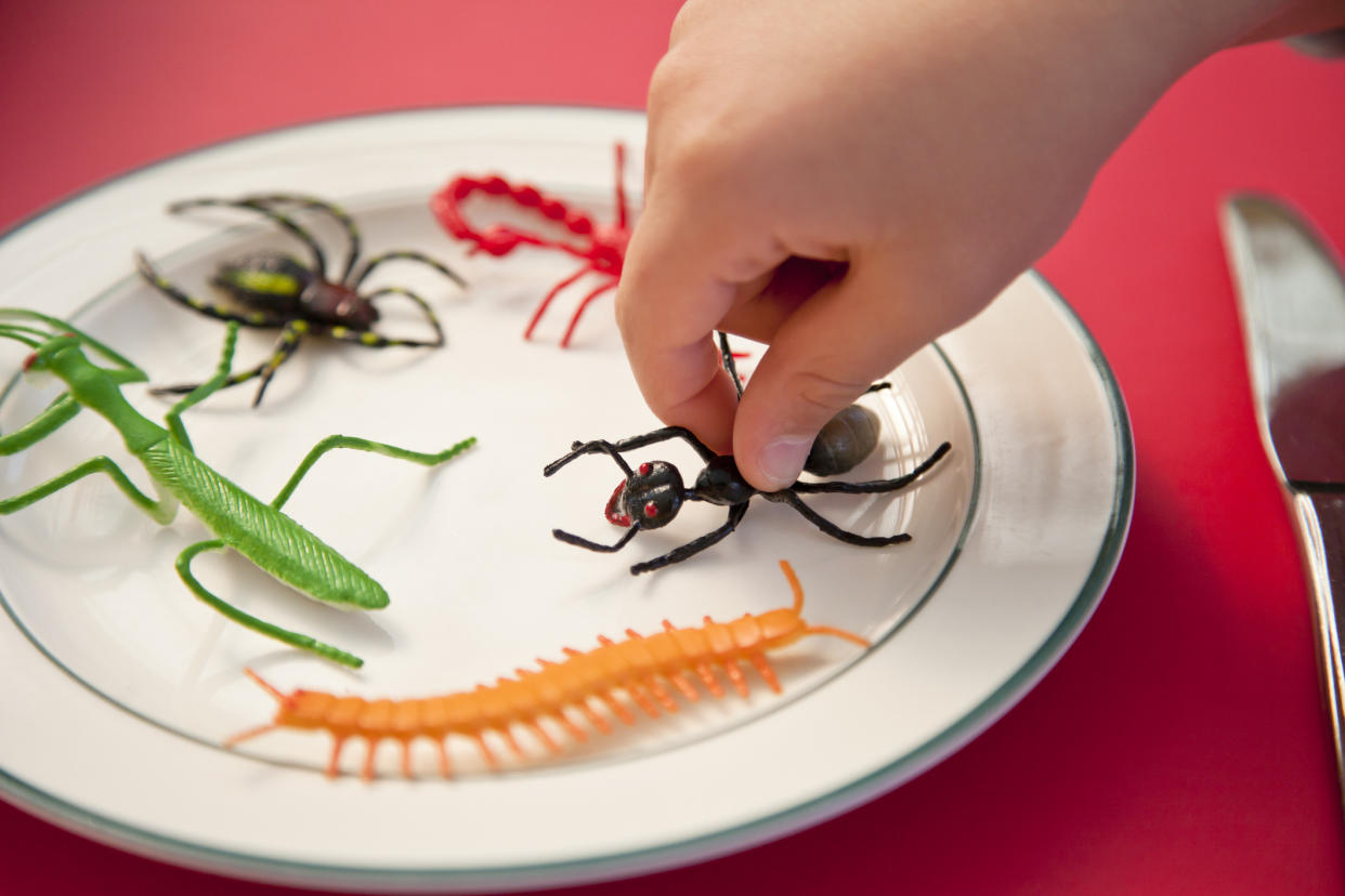 School children in Wales are being served bugs for lunch [Photo: Getty]