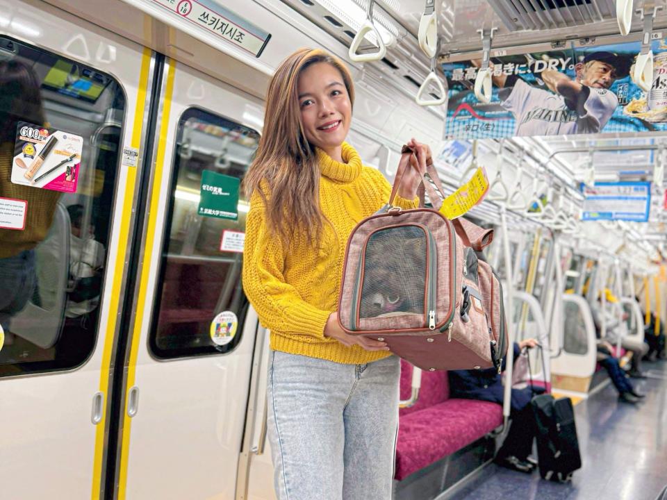 Woman in yellow sweater on the subway with dog in Japan