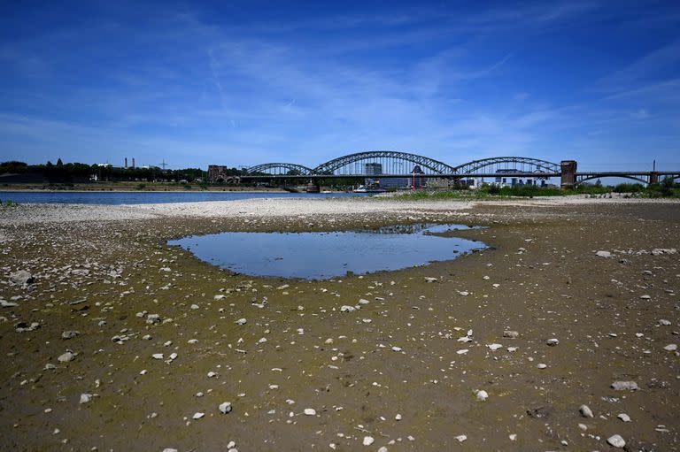 Un charco de agua en medio del lecho casi seco del río Rin en Colonia, Alemania occidental, el 18 de julio de 2022