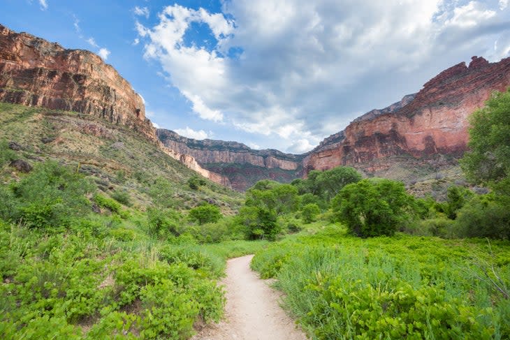 Indian Gardens deep inside the Grand Canyon.