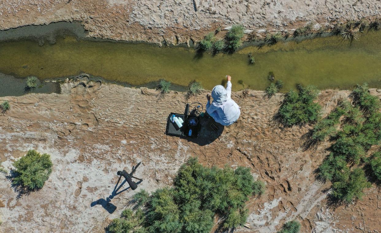 Camila Bautista with Audubon California takes a water sample from an emerging wetland area near the former shoreline of the Salton Sea near Bombay Beach, Calif., Nov. 6, 2023.