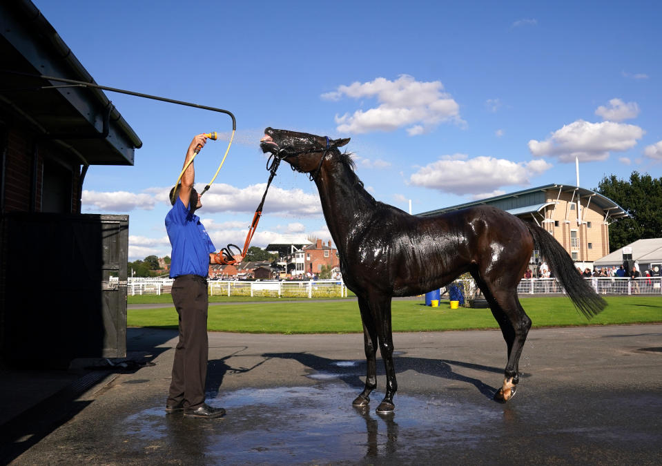 <p>Morraman is washed down after the Follow @mansionbet On Twitter Handicap Hurdle at Warwick Racecourse. Picture date: Monday September 20, 2021.</p>
