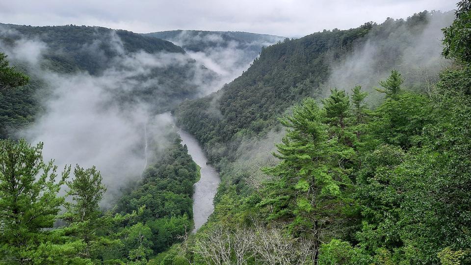 Fog highlights the view of the Pennsylvania Grand Canyon in Colton Point State Park Aug. 18, 2021, in Tioga County,
