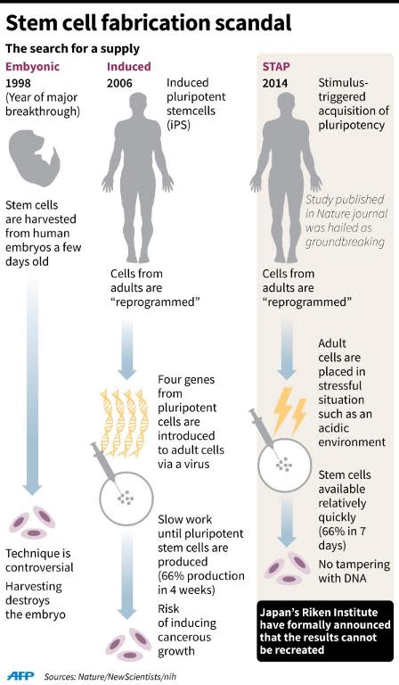 Scientists Unable to Reproduce STAP Cell Breakthrough