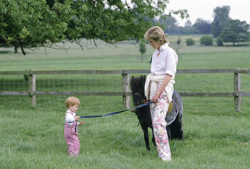 <p>Prince Harry and Princess Diana walk a pony at Highgrove House, which was the family's weekend residence. It was purchased by the Prince of Wales in 1980.</p>