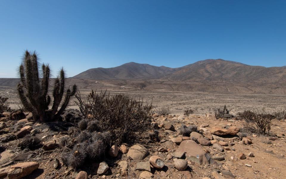The Atacama region, Chile - Sarah Marshall