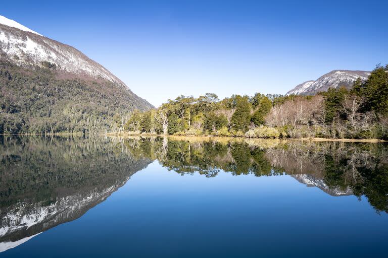 Parque Nacional Lanín