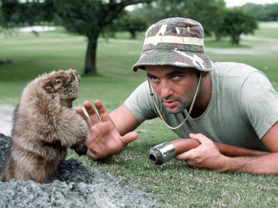 Morgan starred alongside Bill Murray in the classic comedy Caddyshack (Rex Features)