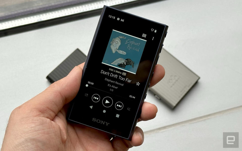 Sony Walkman NW-A306