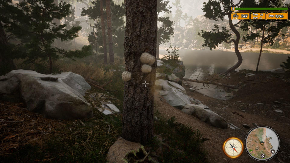 Morels: The Hunt 2 screenshot