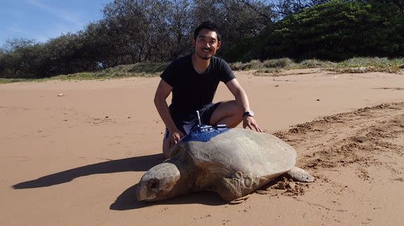 Takahiro Shimada and a sea turtle tagged with a satellite tracker.