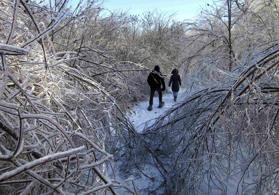 Two people walk through the ice encrusted forest in Earl Bales Park following an ice storm in Toronto