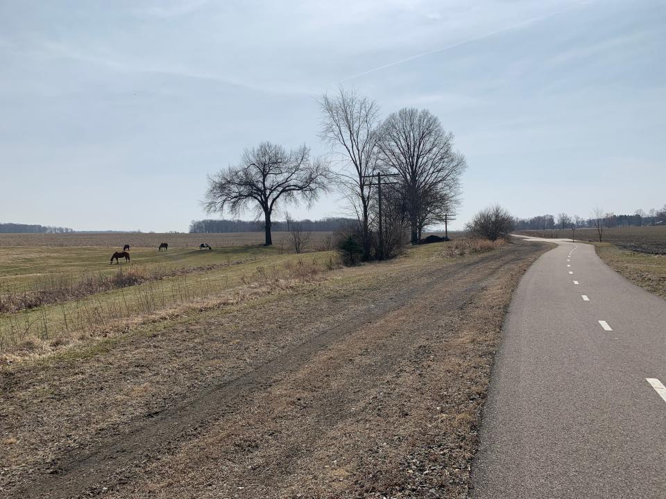 Horses graze alongside the Heartland Trail in Wayne County in this Daily Record file photo. Several projects in Wayne and Stark counties are expecting funds from the Ohio Public Works Commission's Clean Ohio Green Space Conservation Program. Orrville is getting a $200,000 grant to help with a wetlands and greenspace project.