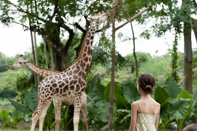 <p>Getty</p> San Antonio Zoo.