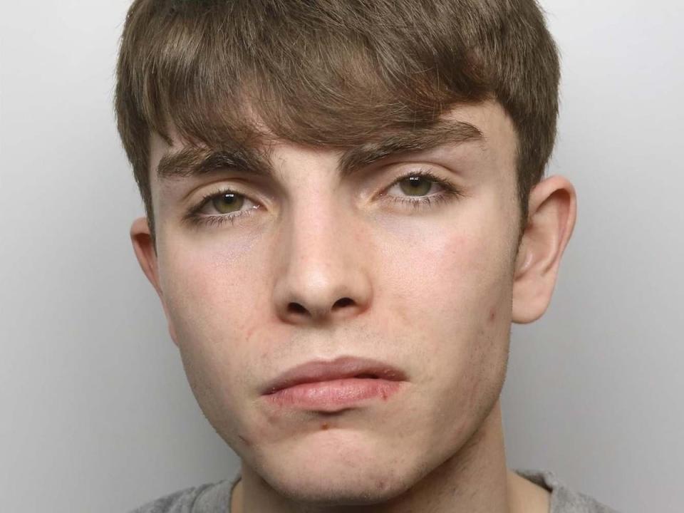 Thomas Griffiths, 17, pleaded guilty to murdering Ellie Gould in Calne, Wiltshire (Wiltshire Police)