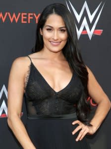 Pregnant Nikki Bella Reveals Environmental Parenting Decision Use Cloth Diapers