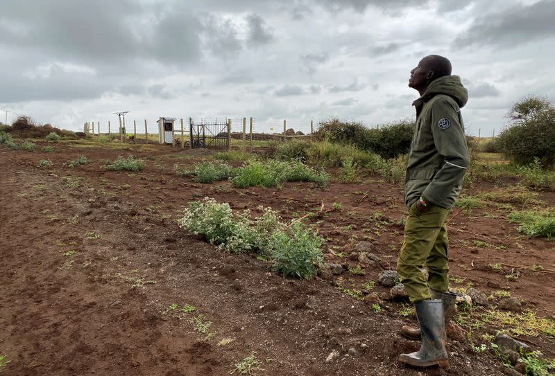 Jeremiah Salash, a representative of KiliAvo Fresh Ltd stands outside their compound within the Amboseli ecosystem near Kimana