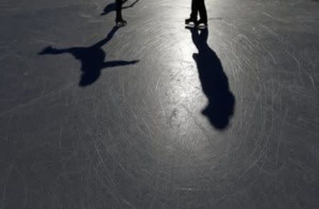 A couple of elderly people skate in sub-zero temperatures at the City Park Ice Rink in Budapest, Hungary, January 6, 2017. REUTERS/Laszlo Balogh