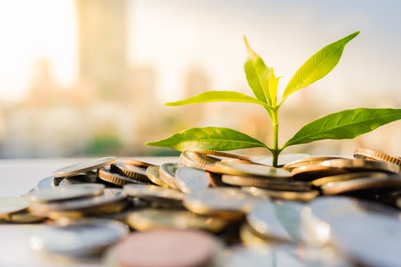 A green leafy plant growing out of a pile of coins with a city skyline in the background.