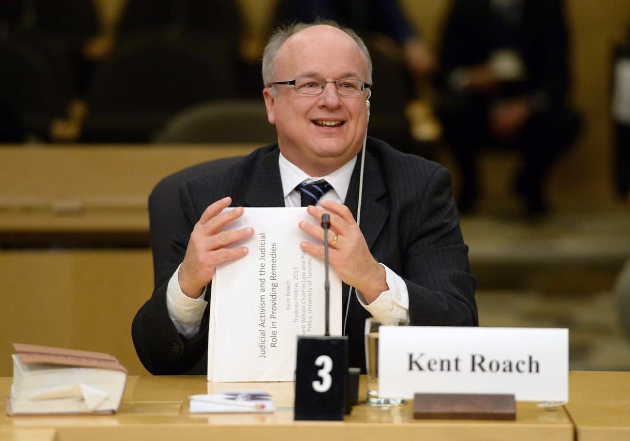 University of Toronto law professor Kent Roach appears at a Senate national defence committee in Ottawa on February 2, 2015. Roach resigned as chair of the RCMP's Management Advisory Board earlier this year. (Sean Kilpatrick/Canadian Press - image credit)