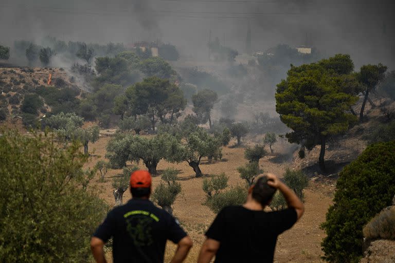 Un bombero (izq.) y un residente local reaccionan mientras observan un incendio forestal en un bosque cerca de Nea Peramos, al oeste de Atenas, el 19 de julio de 2023.  (Foto de Louisa GOULIAMAKI / AFP)