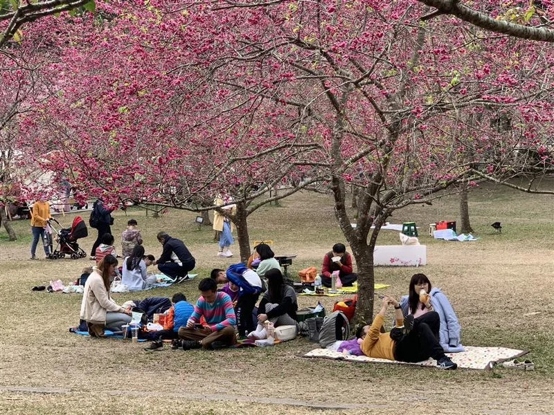 &#x004e5d;&#x0065cf;&#x006587;&#x005316;&#x006751;&#x008868;&#x00793a;&#x00ff0c;&#x004eca;&#x005929;&#x00904a;&#x005ba2;&#x006bd4;&#x006628;&#x005929;&#x005c11;&#x004e86;&#x004e00;&#x00534a;&#x00ff0c;&#x006c11;&#x00773e;&#x008d95;&#x007dca;&#x00628a;&#x0063e1;&#x006a5f;&#x006703;&#x00524d;&#x004f86;&#x008cde;&#x006afb;&#x00ff01;&#x00ff08;&#x005716;&#x00ff0f;&#x004e5d;&#x0065cf;&#x006587;&#x005316;&#x006751;&#x0063d0;&#x004f9b;&#x00ff09;