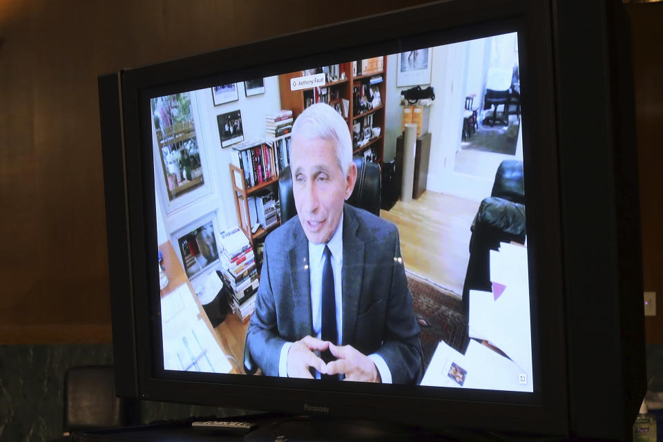 Dr. Anthony Fauci, director of the National Institute of Allergy and Infectious Diseases, speaks remotely during a virtual Senate Committee for Health, Education, Labor, and Pensions hearing, Tuesday, May 12, 2020 on Capitol Hill in Washington.  (Win McNamee/Pool via AP)