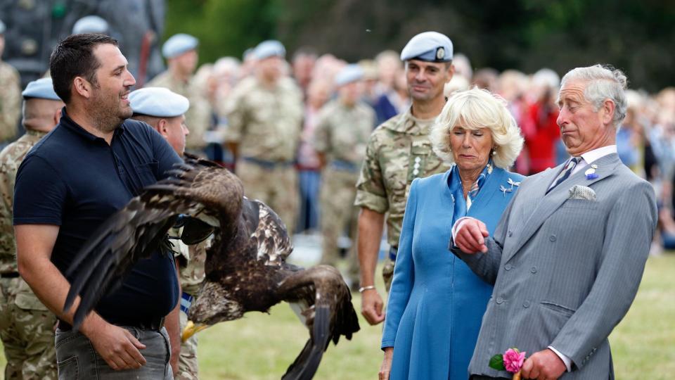 Getting startled by an eagle at the Sandringham Flower Show