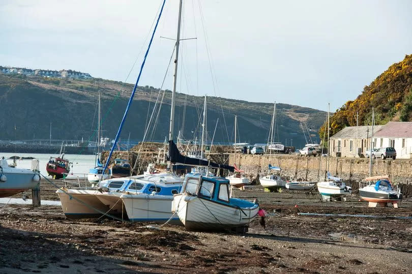 Fishguard harbour -Credit:Getty/© Feifei Cui-Paoluzzo