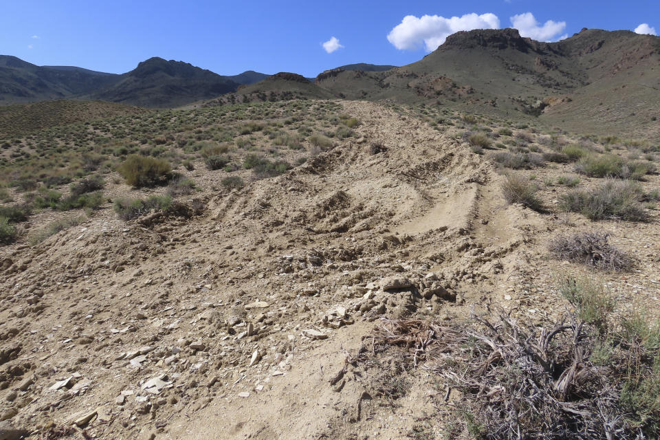 FILE - In this photo provided by the Center for Biological Diversity, Mining impacts to Tiehm's buckwheat habitat in the high desert in the Silver Peak Range of western Nevada about halfway between Reno and Las Vegas, June 1, 2019. Just days after U.S. wildlife officials declared the Nevada wildflower endangered at the site of a proposed lithium mine, federal land managers are initiating the final stage of permitting for the project the developer says will allow the mine and the flower to co-exist. (Patrick Donnelly/Center for Biological Diversity via AP, File)