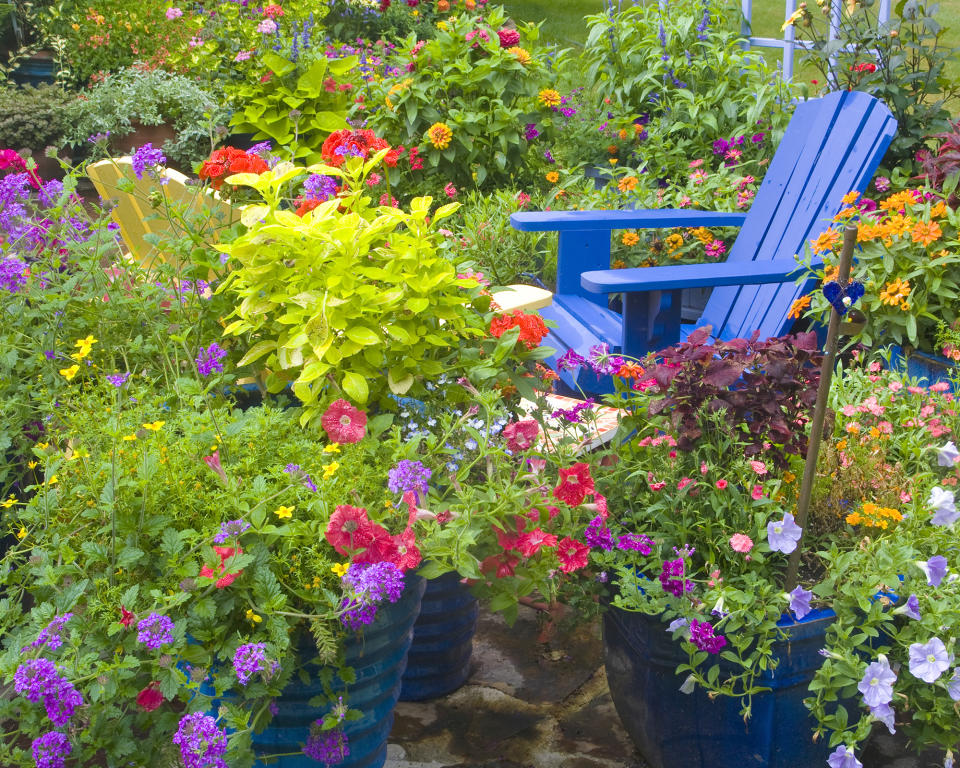 Painted garden chairs amid a riot of plants and containers