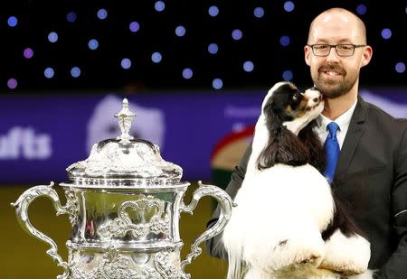 American Cocker Spaniel Miami poses with its handler Jason Lynn after being awarded best in show during the final day of the Crufts Dog Show in Birmingham, Britain March 12, 2017. REUTERS/Darren Staples