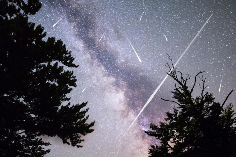 A view of a Meteor Shower and the Milky Way (Shutterstock)