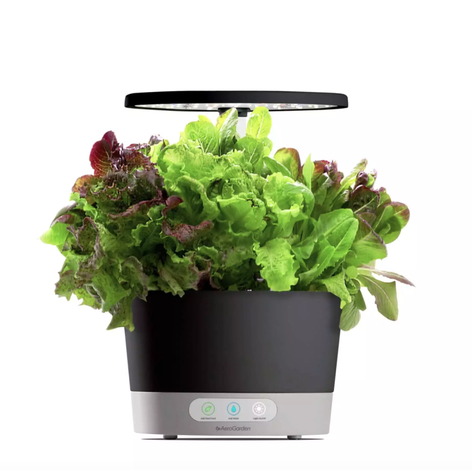 AeroGarden Harvest 360. Image via AeroGarden.