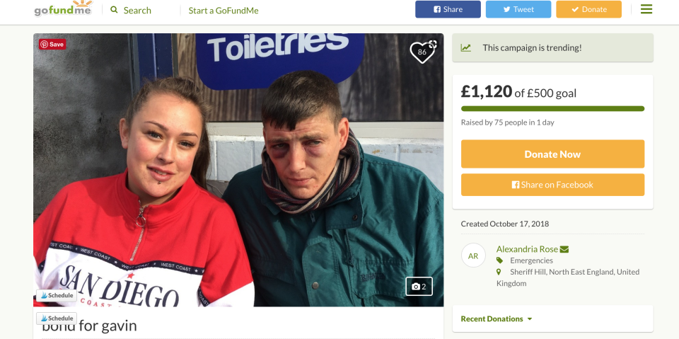 <em>Donations – Alexandria’s GoFundMe page has already raised more than £1,000 (Picture: GoFundMe)</em>