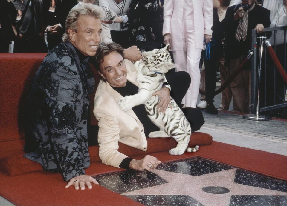 1999: Siegfried & Roy bring their signature white tiger to their Hollywood star unveiling