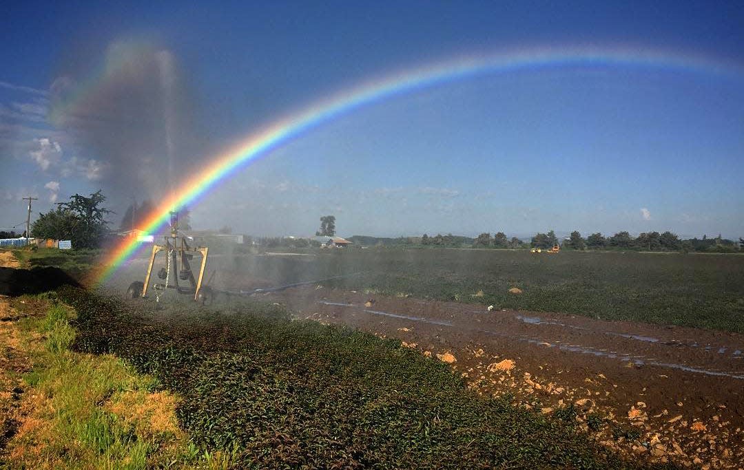 An abnormally hot and dry month mixed with extremely dry east winds created a “flash drought” on the west side of the state.