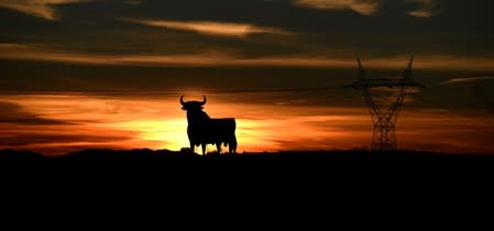 FILE PHOTO: Power lines connecting pylons of high-tension electricity and a billboard-sized figure of a bull, known as the "Osborne bull", are seen at sunset in El Berron