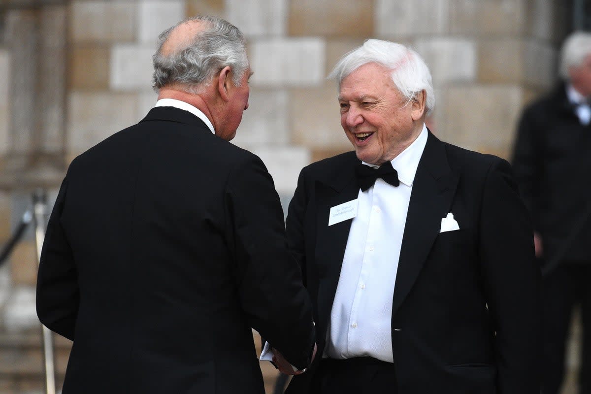 Sir David Attenborough (right) greets the then-Prince of Wales (Kirsty O/Connor/PA) (PA Archive)