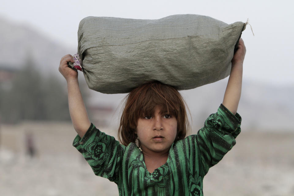 FILE - In this Feb. 18, 2013, file photo, an Afghan girl, Shamila, 8, carries firewood in the Behsood district of Jalalabad, Afghanistan. Uncertainty over how many U.S. troops might remain in Afghanistan beyond this year has trickled down to American diplomats and aid workers whose efforts over the last decade to develop the still mostly primitive country faces a drawdown of its own because of security fears. (AP Photo/Rahmat Gul, File)