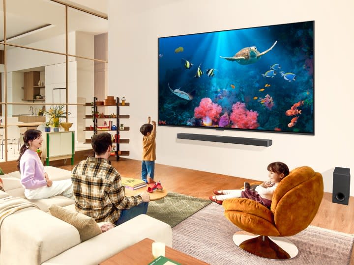 A press image of one of LG's 2024 QNED televisions.