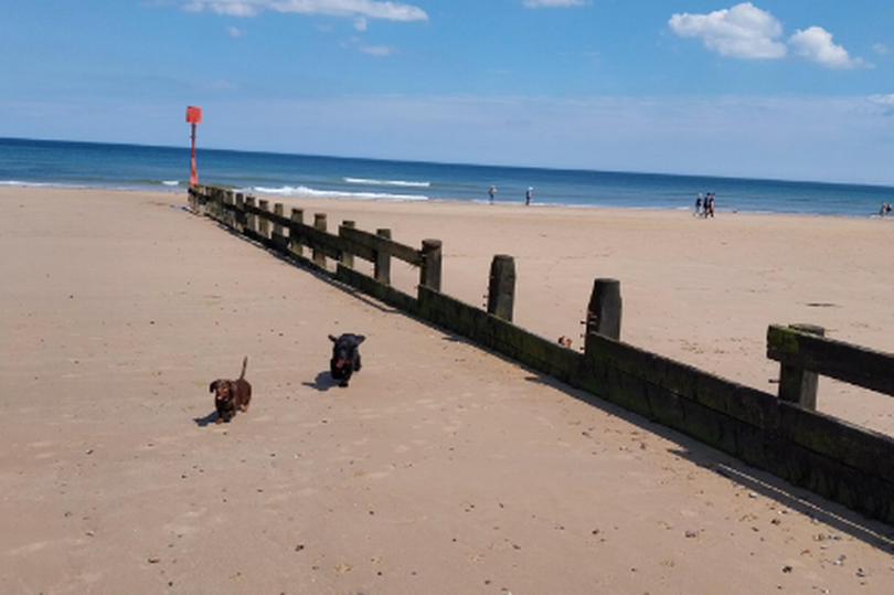 Groynes on the beach at Redcar in a poor state of repair