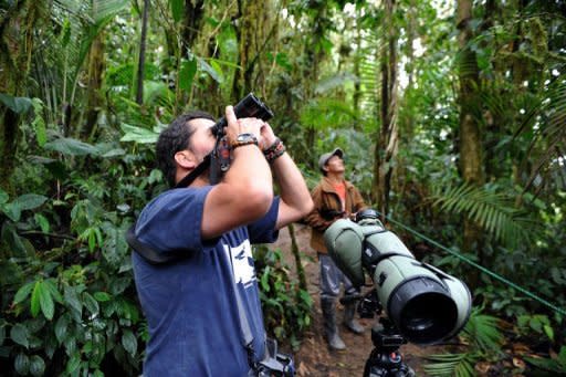 Roberto Cedeno, birdwatcher and guide, watches birds at the Peace of the Birds private reserve in Ecuador. "There are in Ecuador nearly 1,600 bird species representing 13% of the world's bird species," Cedeno, who has spent 20 years observing birds, told AFP