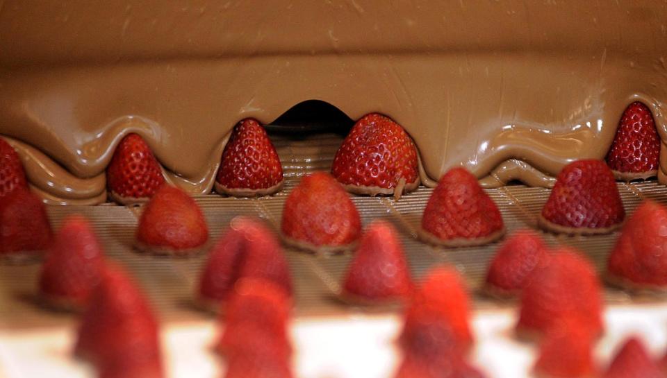 Strawberries covered in chocolate are one of the many confections made at Romolo Chocolates in Erie.